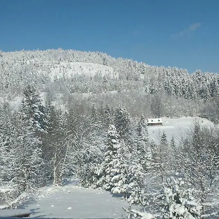 アパート Monika I