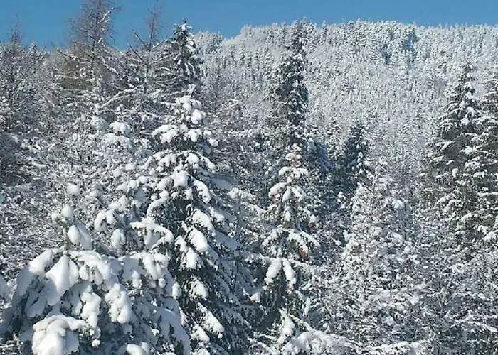 Apartment Monika I *